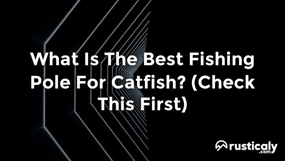 what is the best fishing pole for catfish