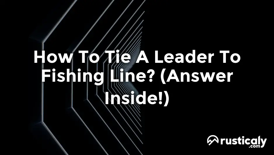 How To Tie A Leader To Fishing Line? (Detailed Guide)