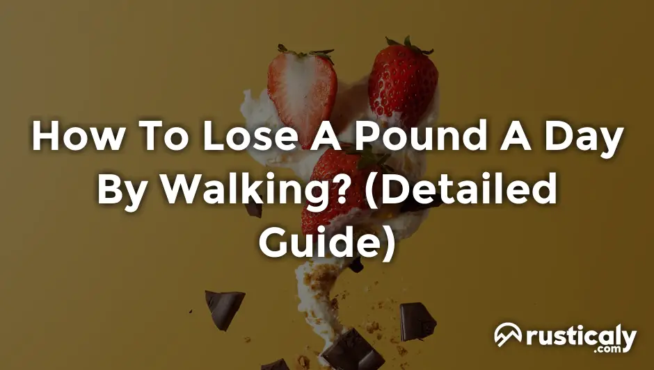 How To Lose A Pound A Day By Walking? (Check This First)