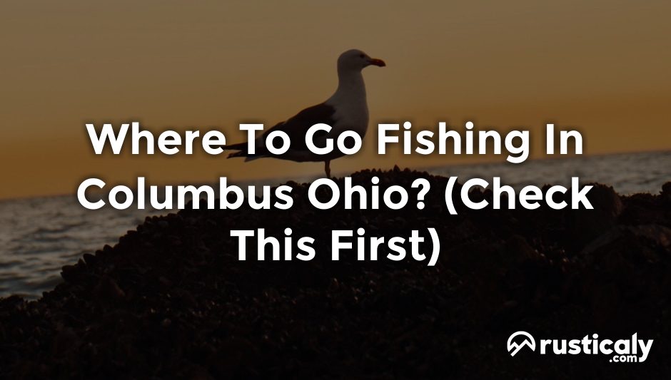 where to go fishing in columbus ohio