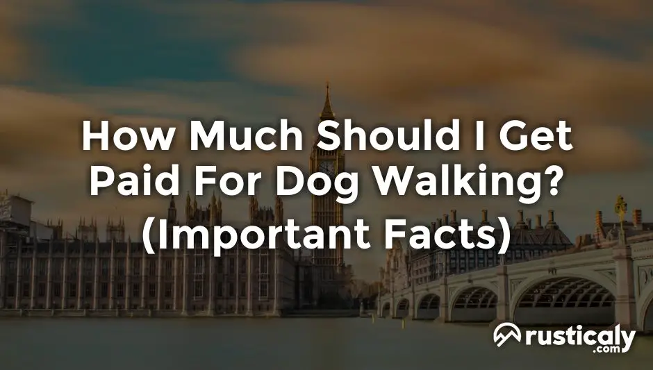 how much should i get paid for dog walking