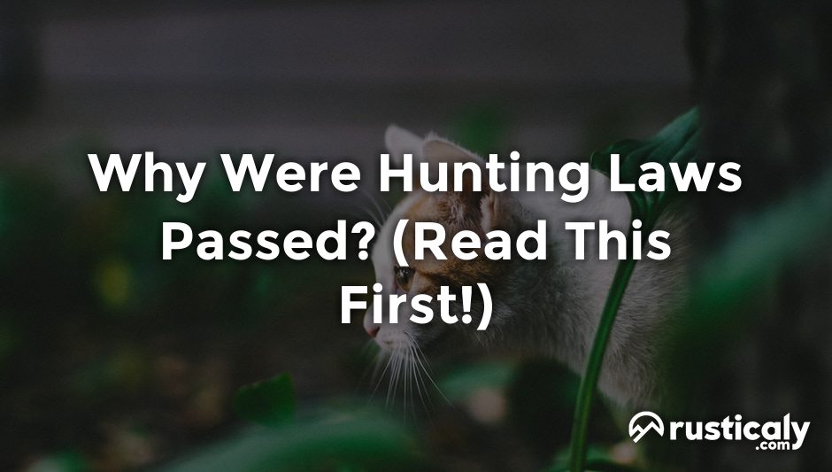 why were hunting laws passed
