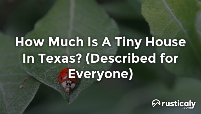 how much is a tiny house in texas