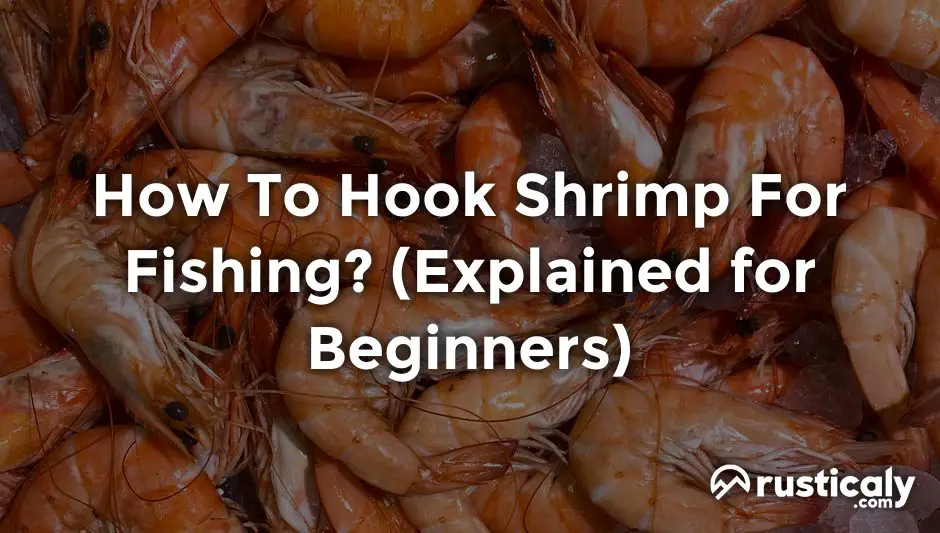 how to hook shrimp for fishing