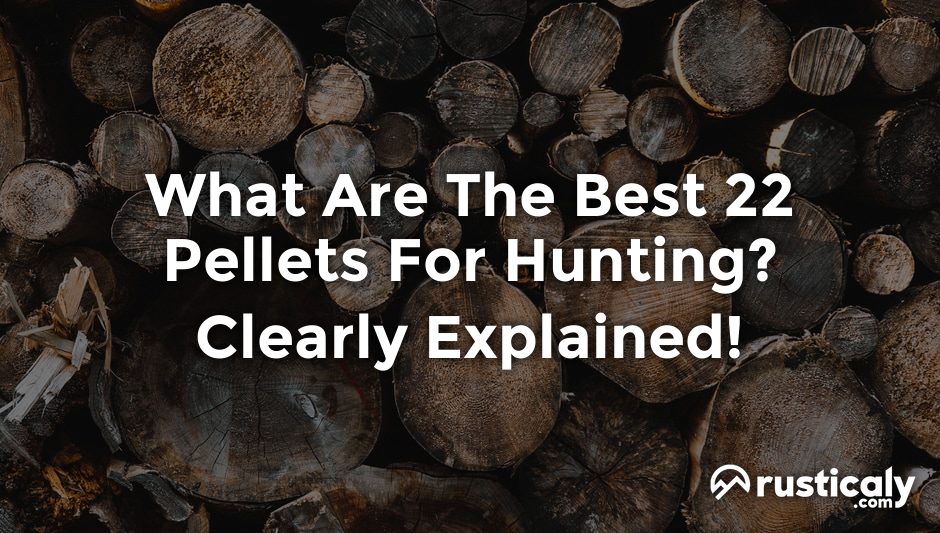 what are the best 22 pellets for hunting