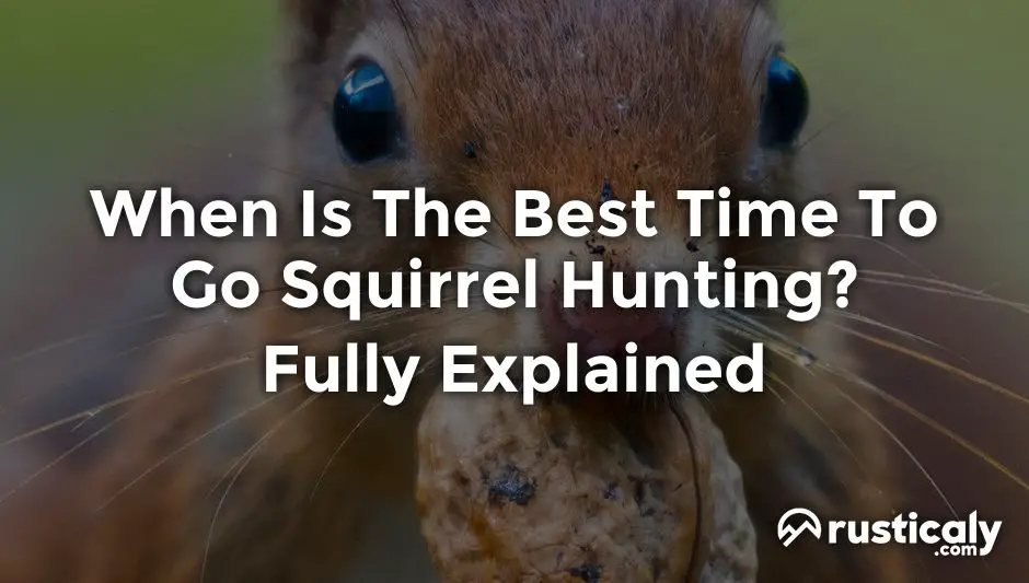 when is the best time to go squirrel hunting