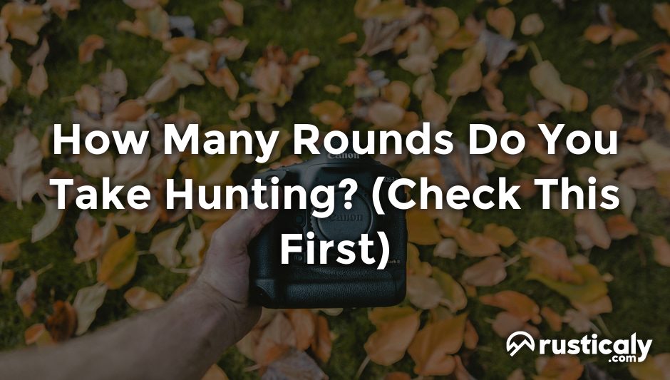 how many rounds do you take hunting