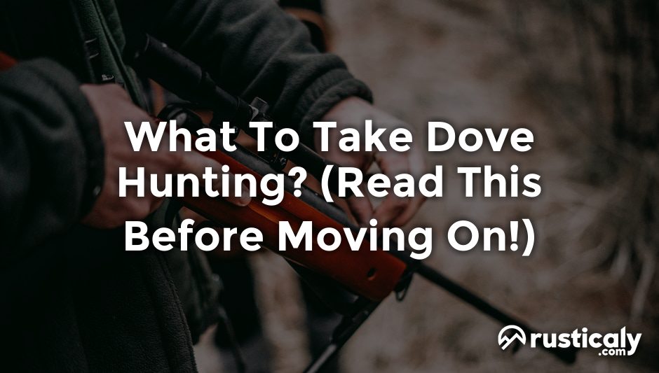 what to take dove hunting