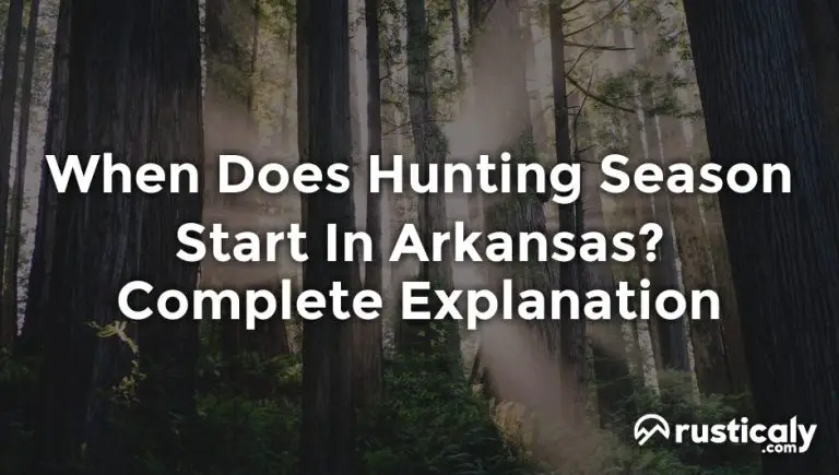 When Does Hunting Season Start In Arkansas? Clearly Explained!