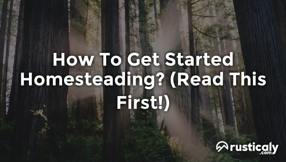 how to get started homesteading