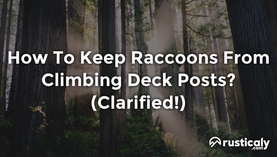 how to keep raccoons from climbing deck posts
