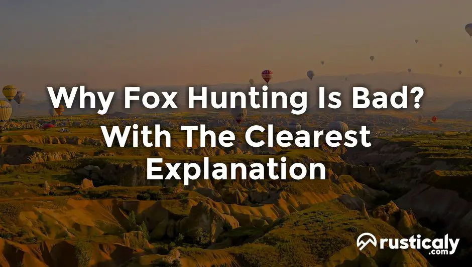 why fox hunting is bad
