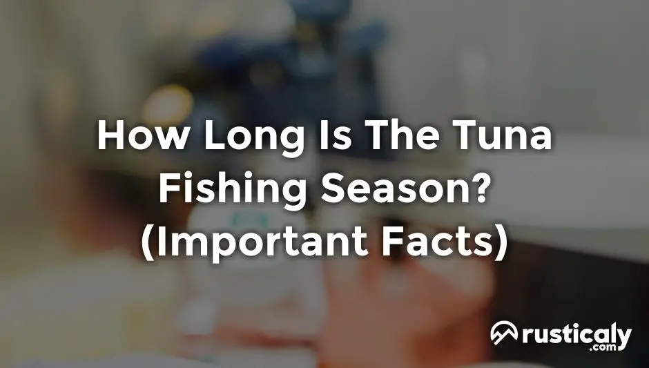 how long is the tuna fishing season