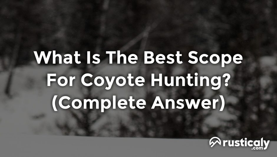 what is the best scope for coyote hunting