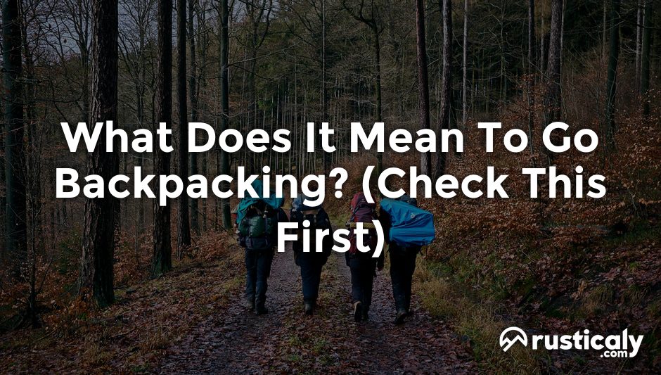 what does it mean to go backpacking