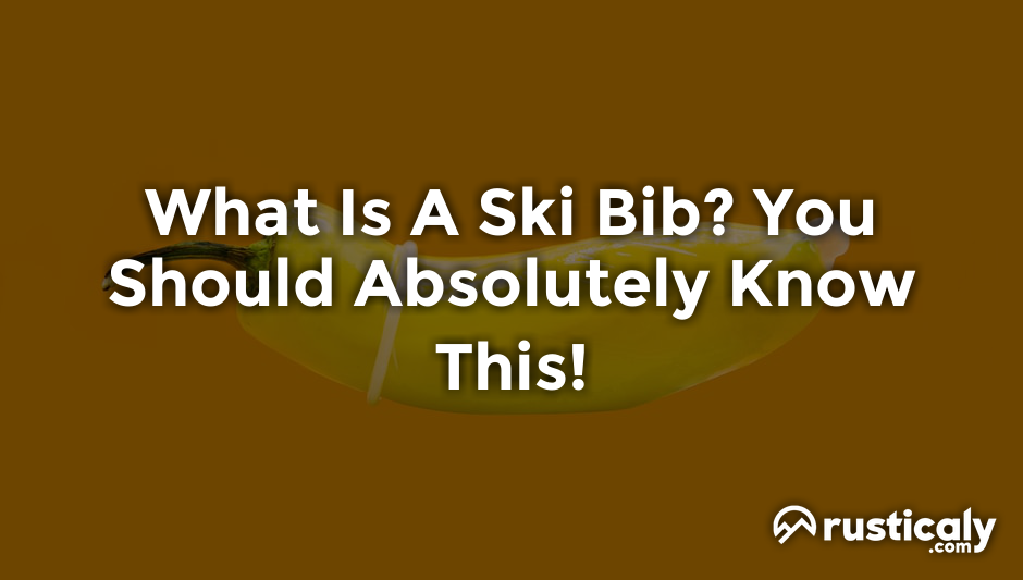 what is a ski bib