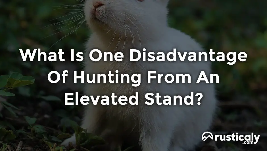 What Is One Disadvantage Of Hunting From An Elevated Stand?
