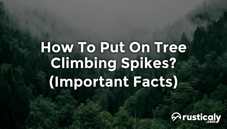 how to put on tree climbing spikes