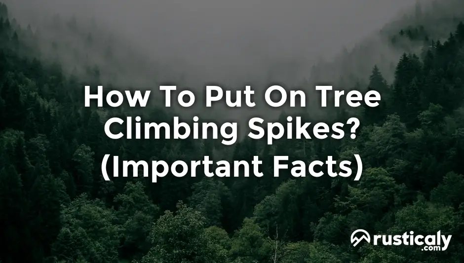 how to put on tree climbing spikes