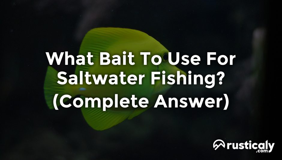 what bait to use for saltwater fishing