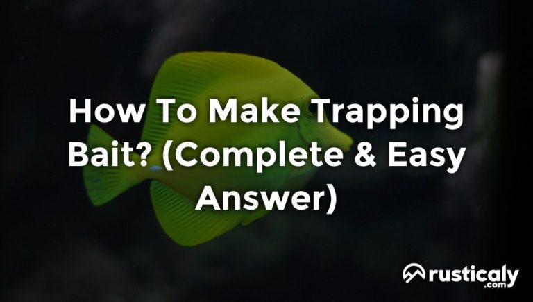 how to make trapping bait