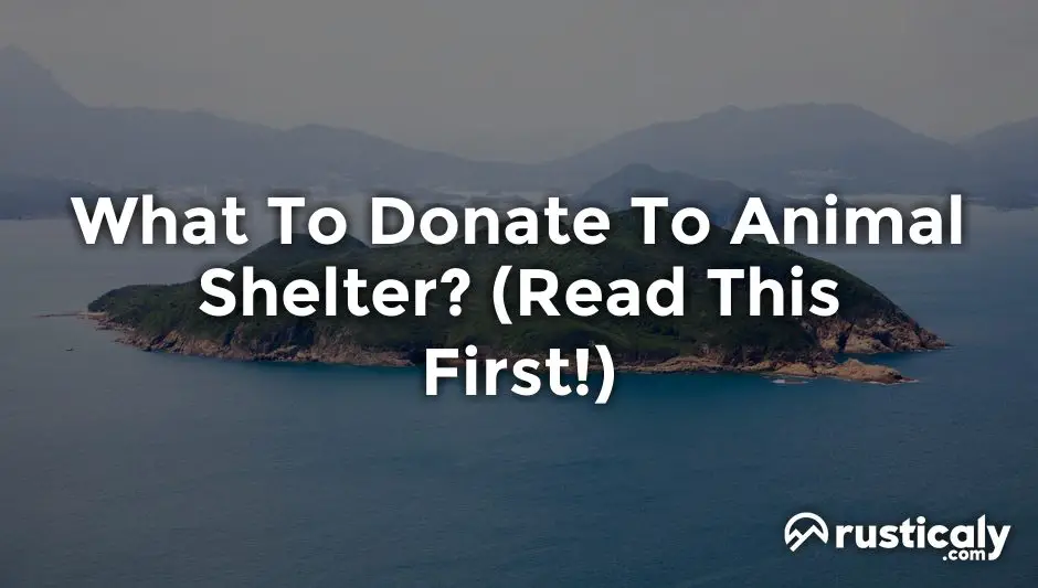 what to donate to animal shelter