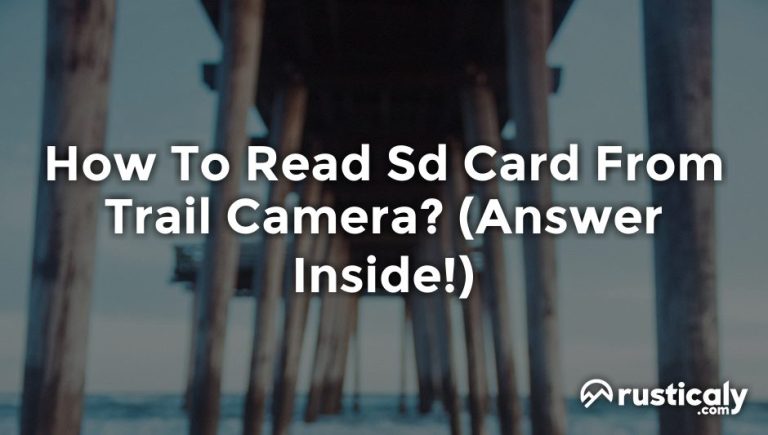 How To Read Sd Card From Trail Camera Complete Explanation