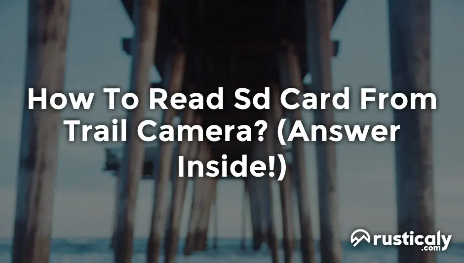 how to read sd card from trail camera