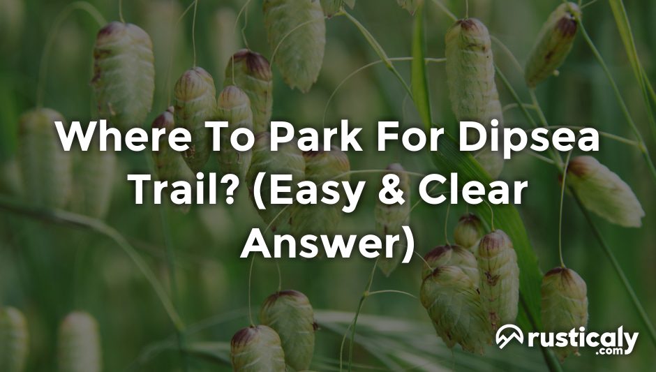 where to park for dipsea trail