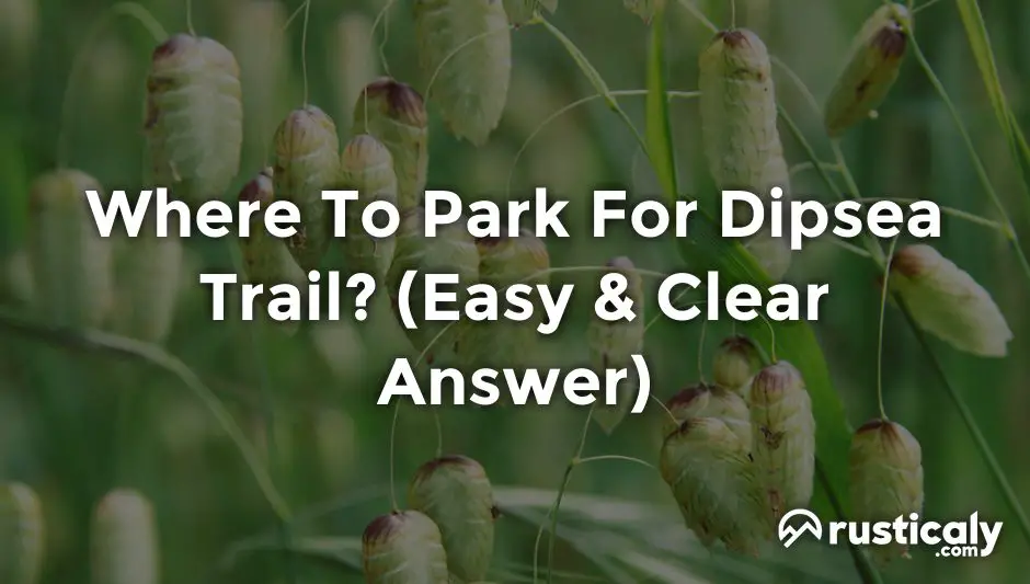 where to park for dipsea trail