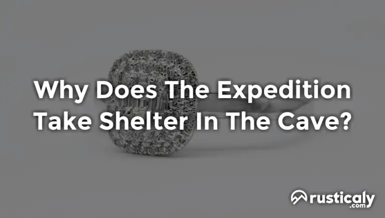 why does the expedition take shelter in the cave?
