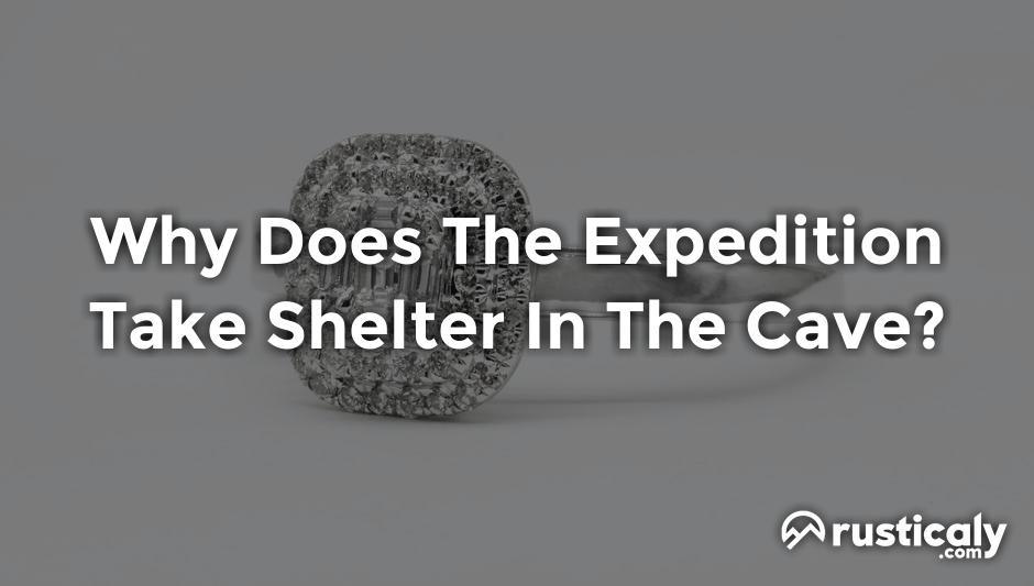 why does the expedition take shelter in the cave?