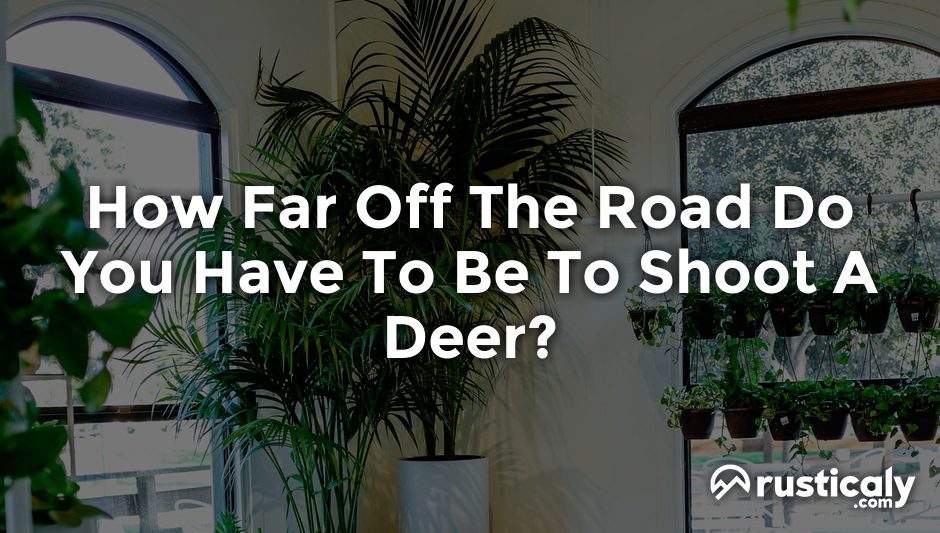 how far off the road do you have to be to shoot a deer
