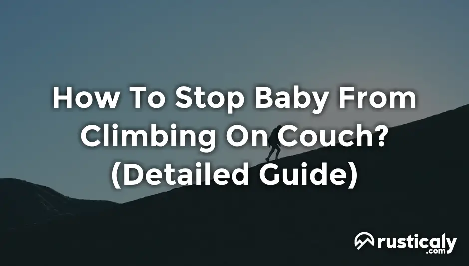 How To Stop Baby From Climbing On Couch? (Important Facts)