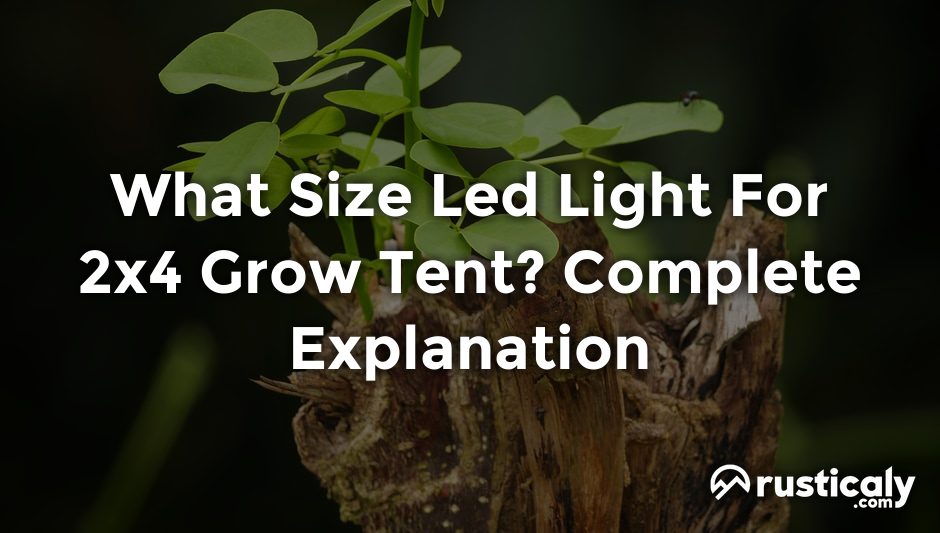 what size led light for 2x4 grow tent