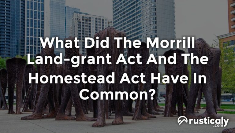 what did the morrill land-grant act and the homestead act have in common