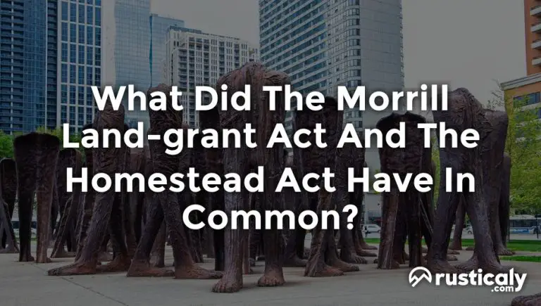 what did the morrill land-grant act and the homestead act have in common