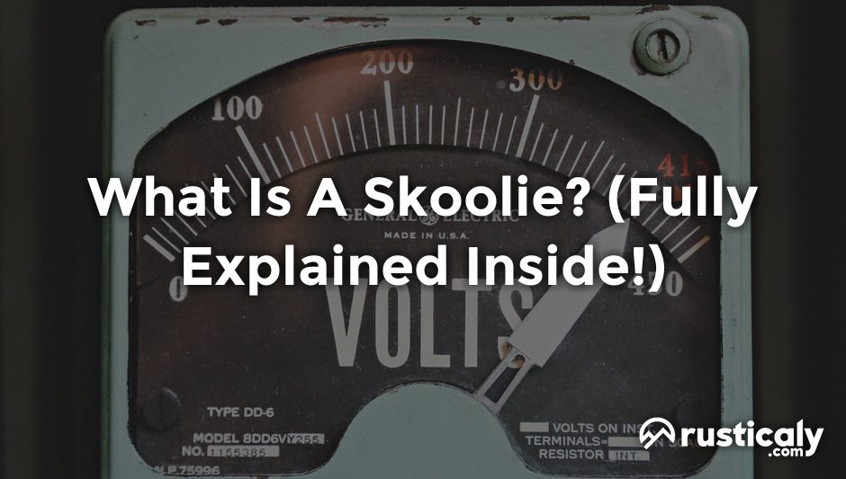 what is a skoolie