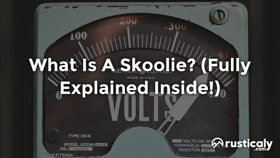 what is a skoolie