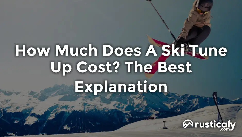 how much does a ski tune up cost