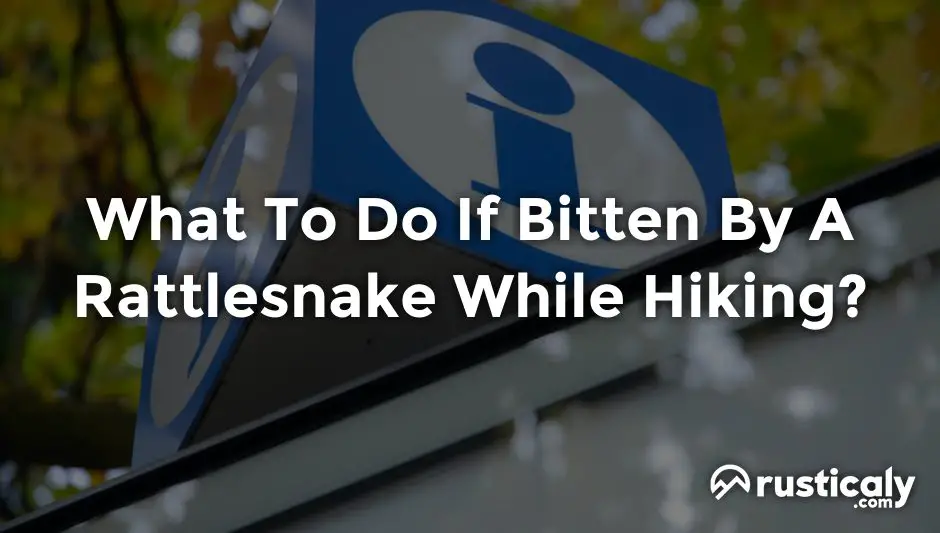 what to do if bitten by a rattlesnake while hiking