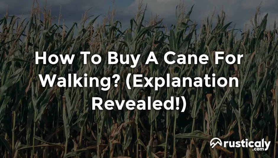 how to buy a cane for walking