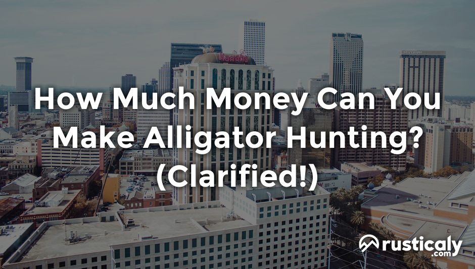 how much money can you make alligator hunting