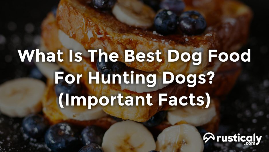 what is the best dog food for hunting dogs