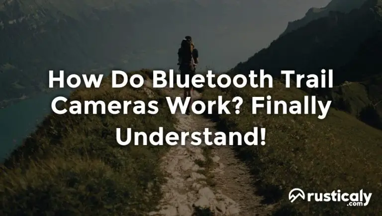 How Do Bluetooth Trail Cameras Work Detailed Guide 