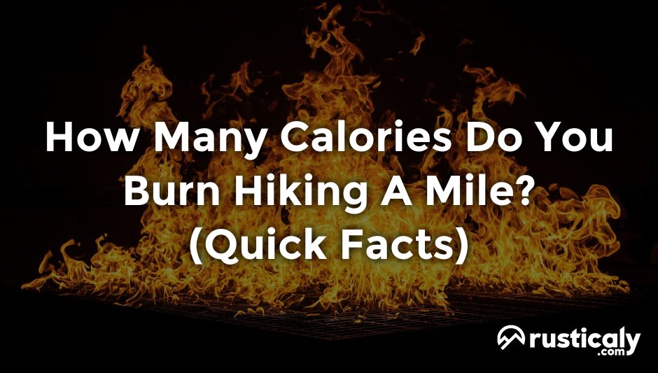 how many calories do you burn hiking a mile