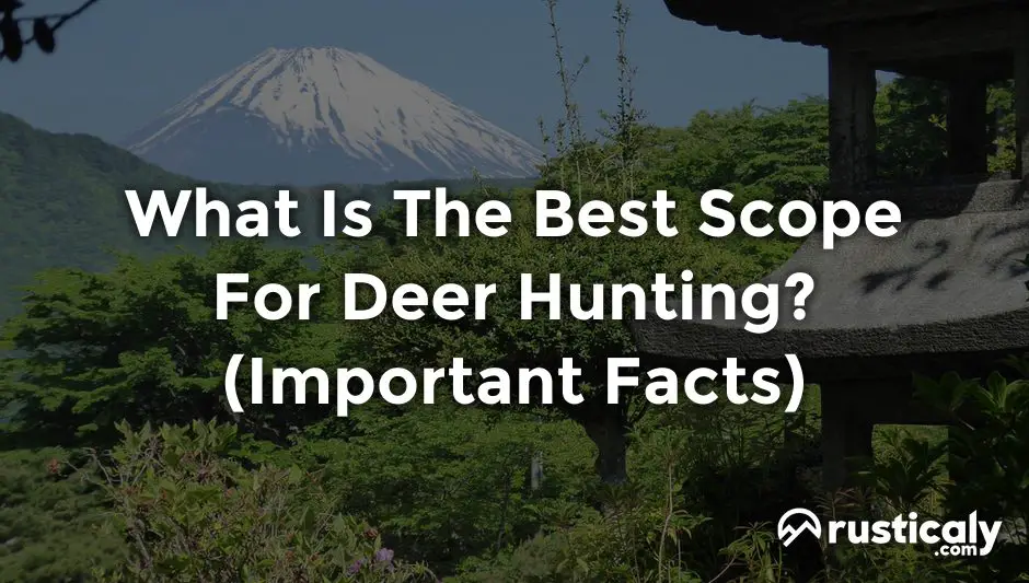 what is the best scope for deer hunting