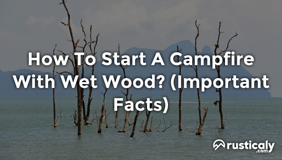 how to start a campfire with wet wood