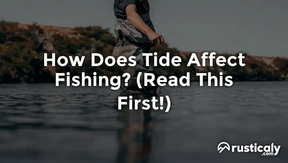 how does tide affect fishing