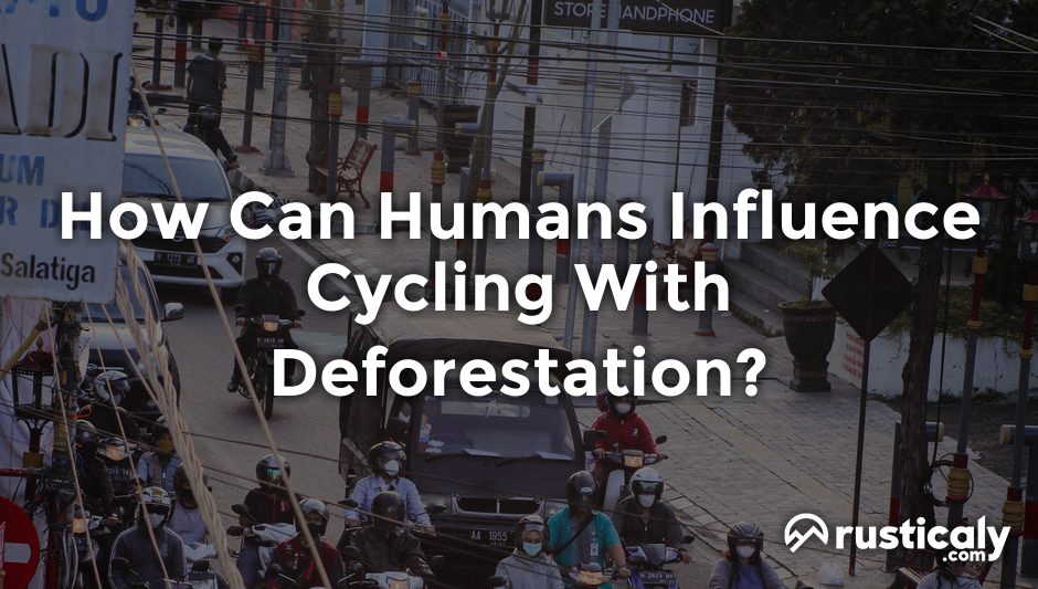 how can humans influence cycling with deforestation